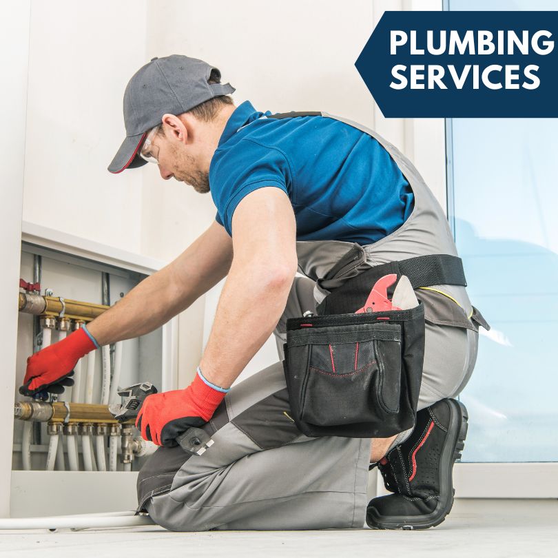 Rienzi Plumbing Company